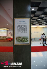 濱海高新區(qū)軟件與服務(wù)外包產(chǎn)業(yè)基地今日開園，開啟軟件外包服務(wù)新篇章